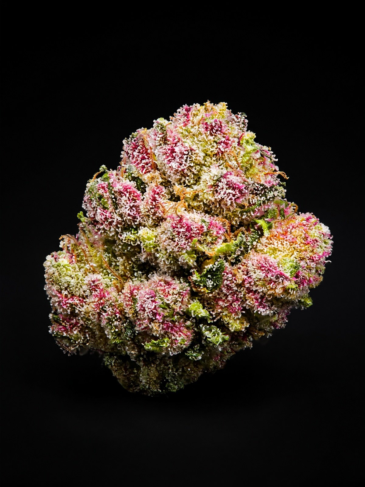 Azúcar de la Bruja AKA PTG's Runtz BX2
