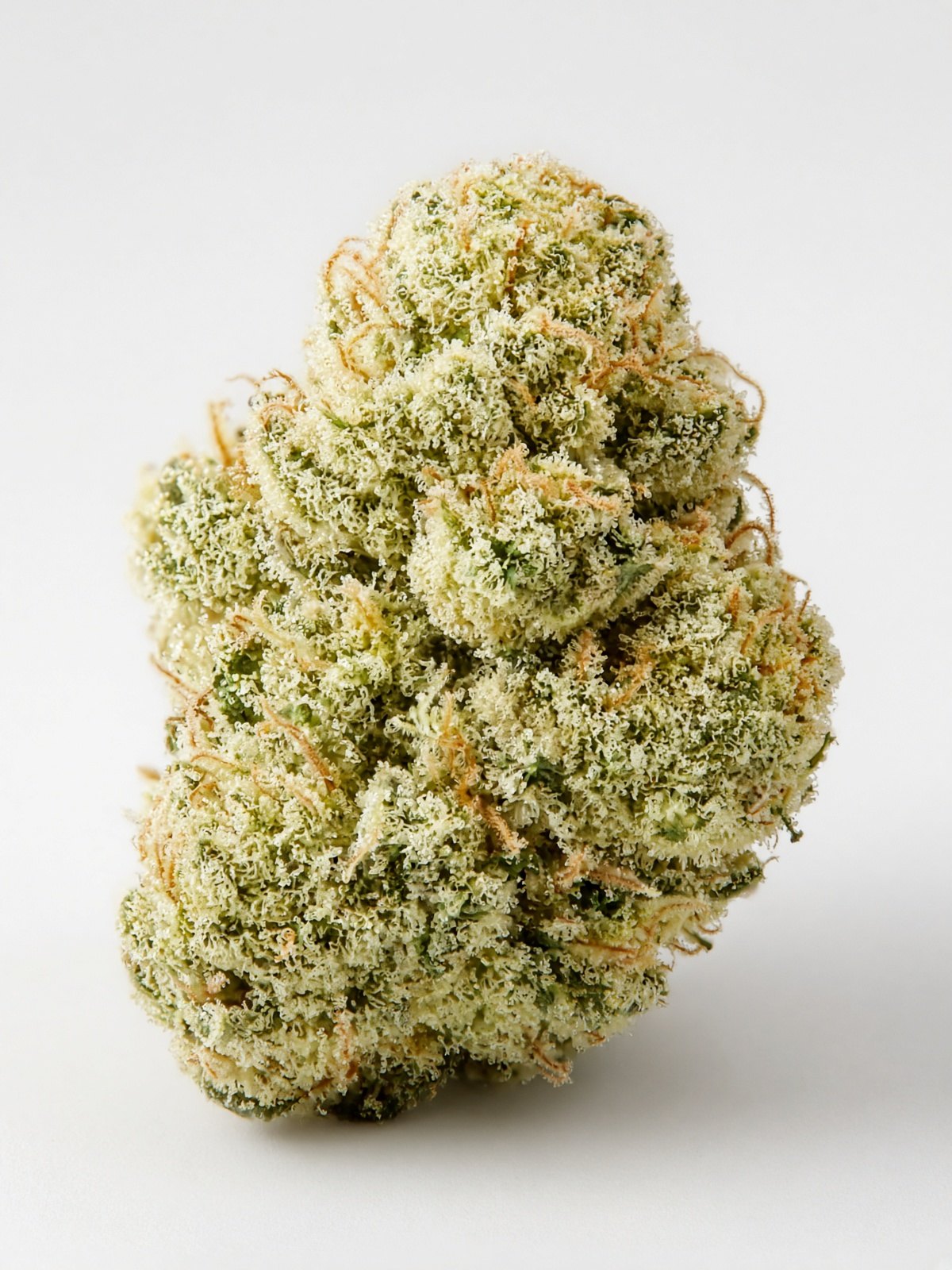 Banana Cream x Jealousy