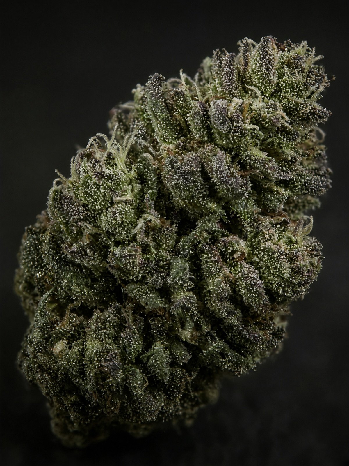 Jet Fuel G6 x Garlic Cocktail