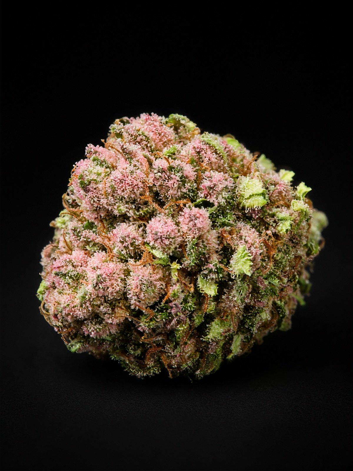 Strawberry Fields