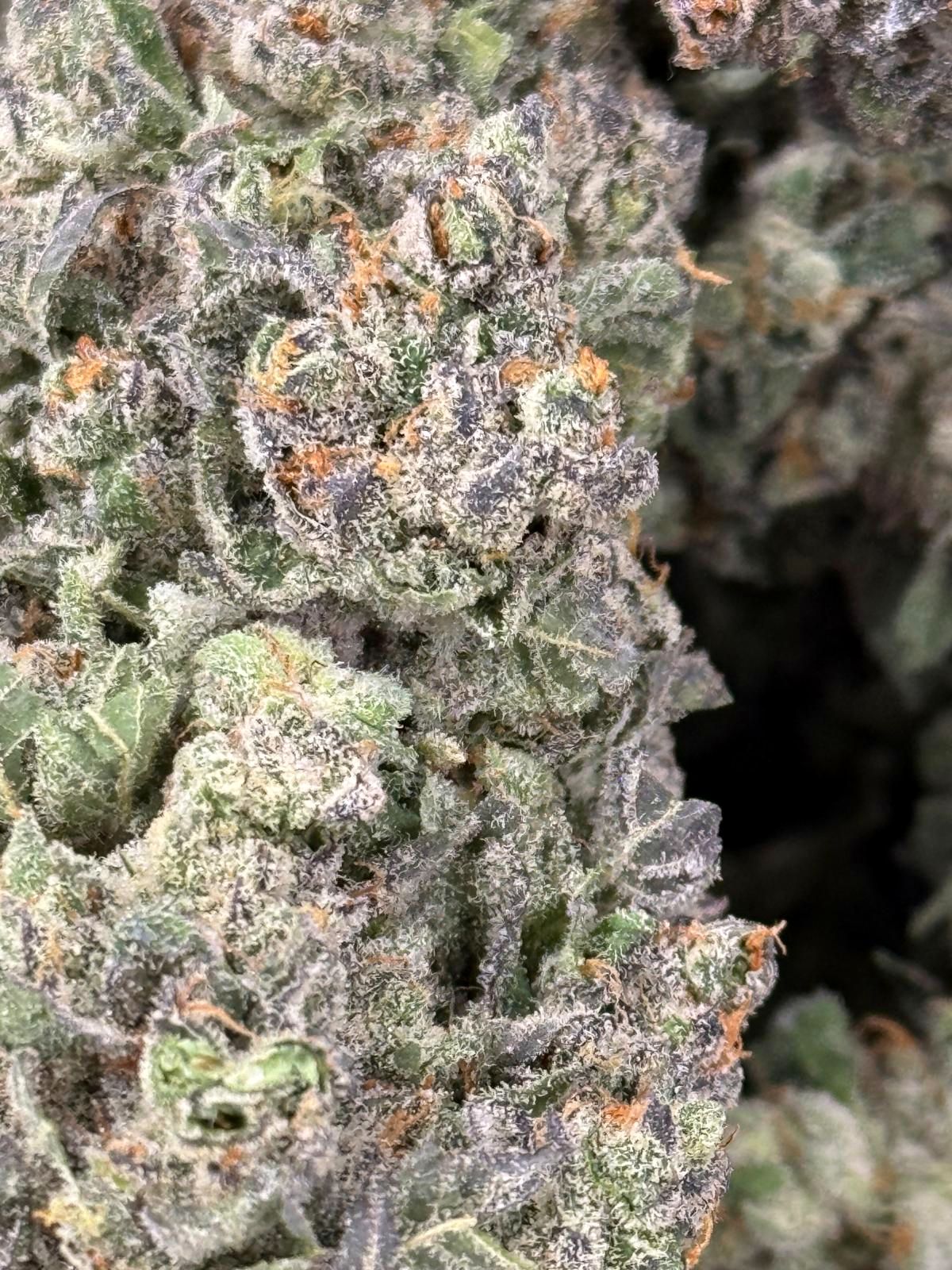 Runtz trichome macro